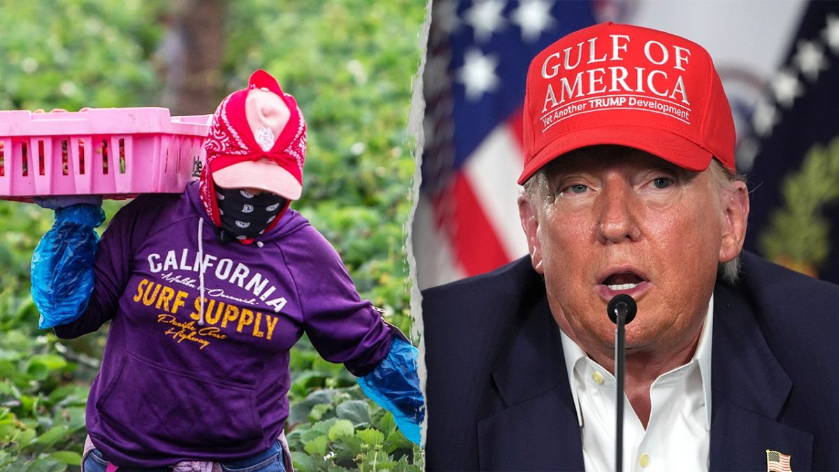 Trump's new proposal allows farmers to support illegal migrants before deportation.