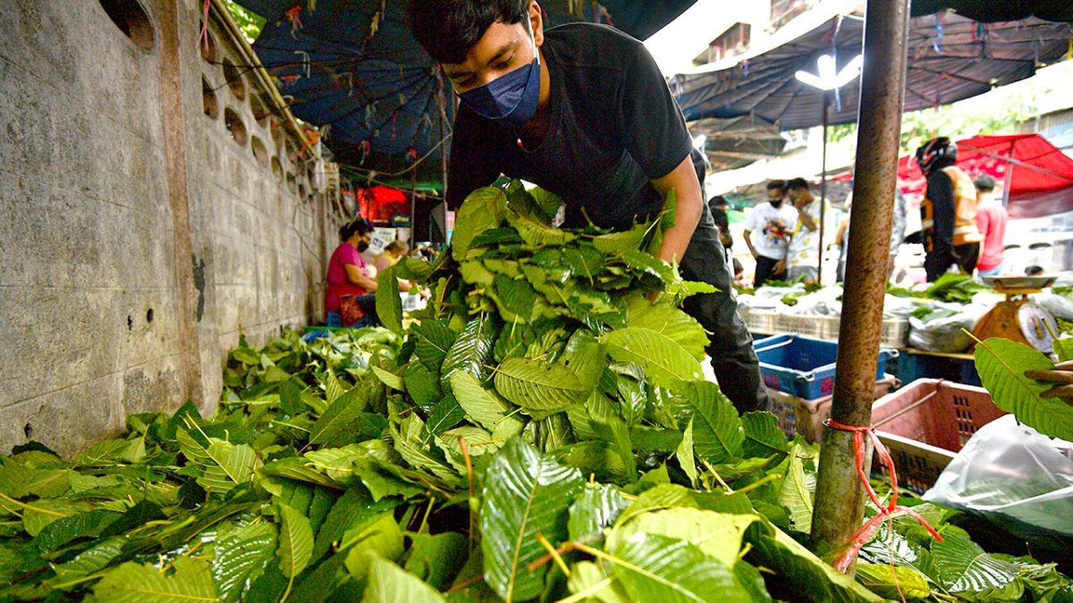 Understanding kratom: FDA focuses on harmful 7-OH items in nationwide enforcement