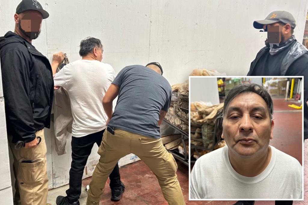 Undocumented immigrant accused of beheading a missing woman captured by ICE after being released by a judge three months prior