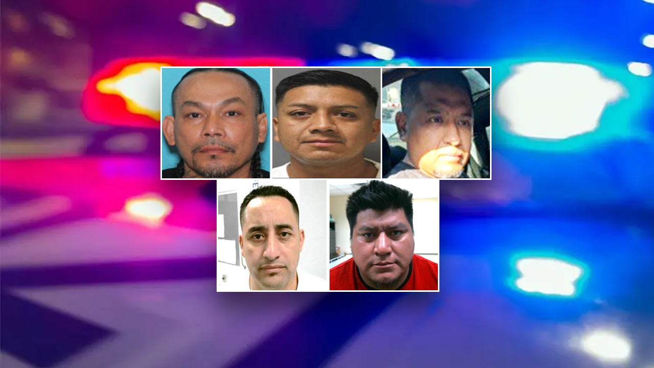 Undocumented immigrant found guilty of plotting to kill teenager with a baseball bat is one of the recent arrests by ICE