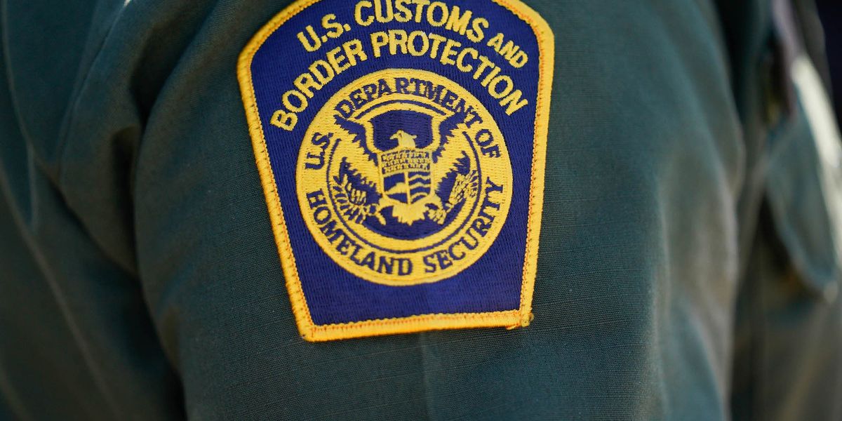 Video appears to show a protester seemingly firing at federal agents during an immigration operation at a California farm.