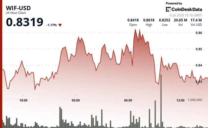 WIF Maintains Strong Support While Whales Gather More Than 39 Million Tokens