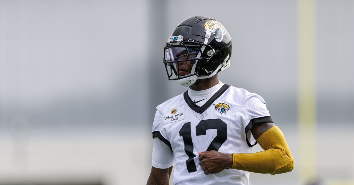 We have NFL questions, and training camp should provide us with some answers.