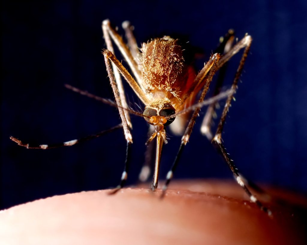 West Nile virus detected in mosquitoes in several counties in two U.S. cities