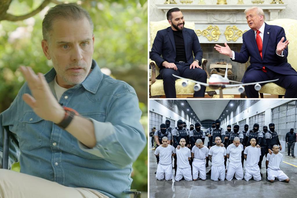 White House fiercely criticizes Hunter Biden after he uses 6 F-words in a 30-second outburst about the border