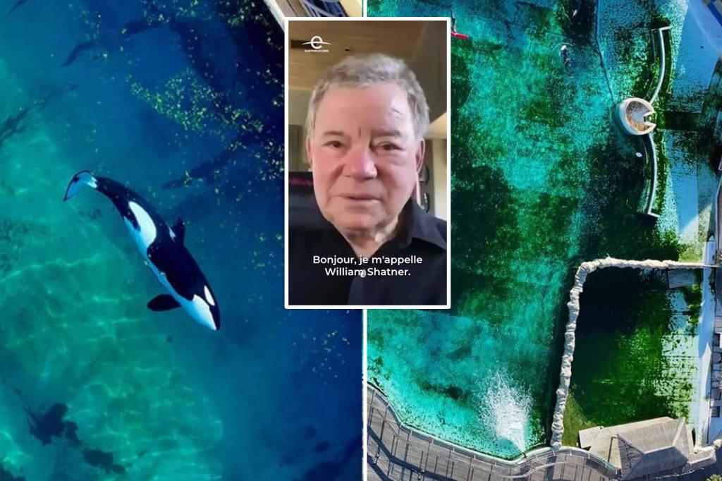 William Shatner urges French President Emanuel Macron to protect orcas at the abandoned Marineland Antibes.