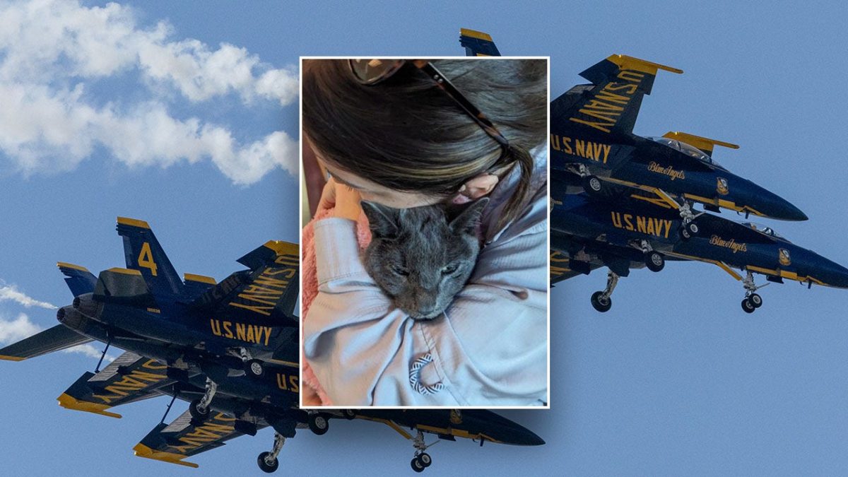 Woman takes legal action against Blue Angels after being blocked on Instagram due to noise complaints about her cat.