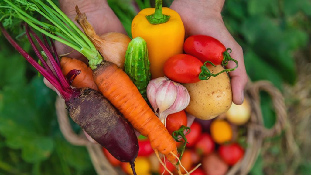 Woman's garden constantly invaded by people visiting nearby free farm stand