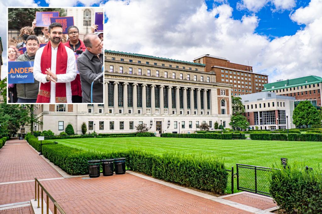 Zohran Mamdani identified as Asian and African American on his Columbia application, according to a report.