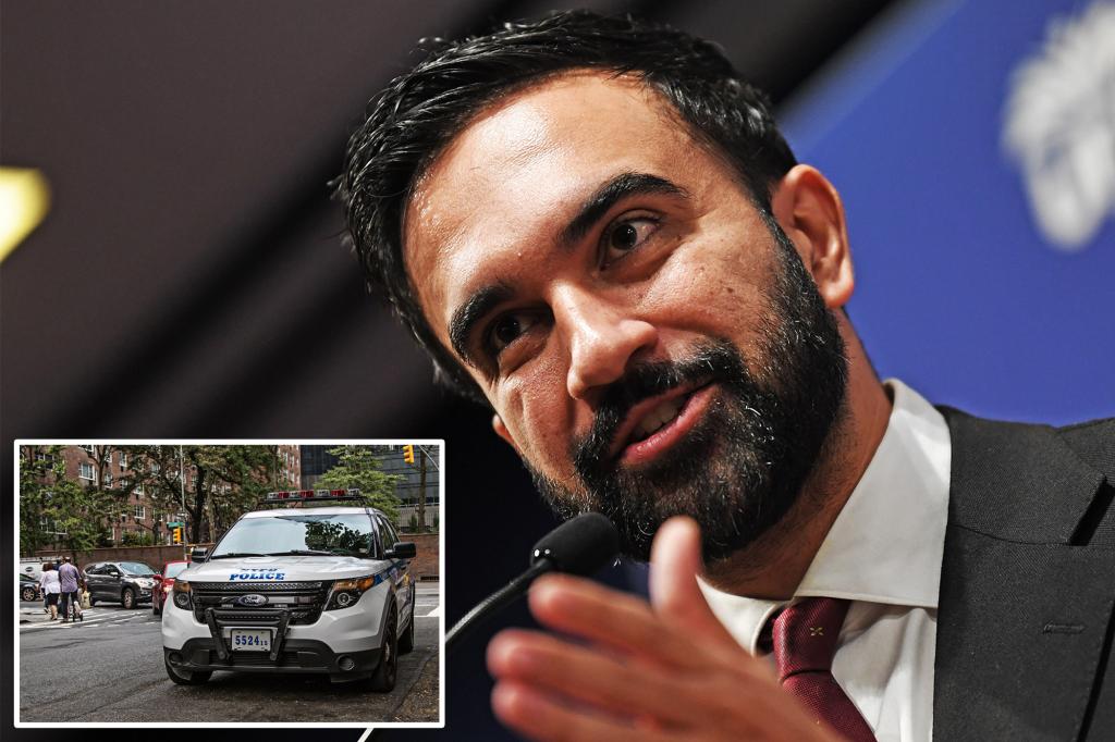 Zohran Mamdani stated that the NYPD should not handle domestic violence calls in an old podcast interview.