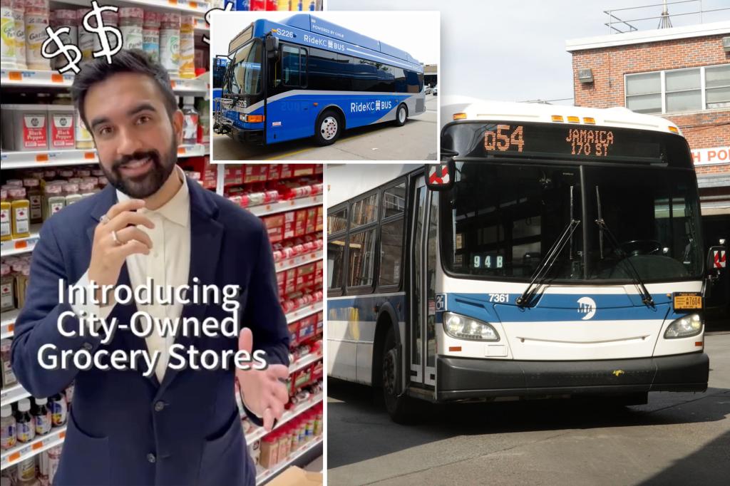 0-2 for Mamdani's ideas on socialism