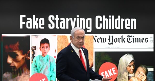 12 Palestinian Kids in Gaza Suffering from Hunger Also Had Other Illnesses