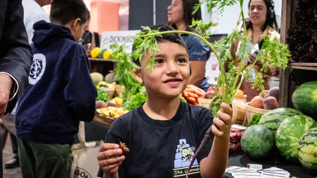 5 tips for making your child's school lunch more nutritious