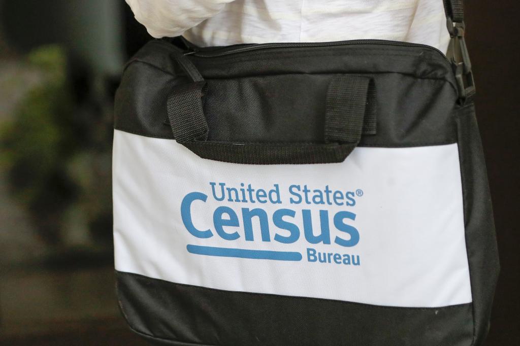A Census for Citizens Only and Other Topics: Letters