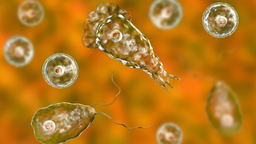 Adult in Missouri passes away from brain-eating amoeba infection, according to authorities