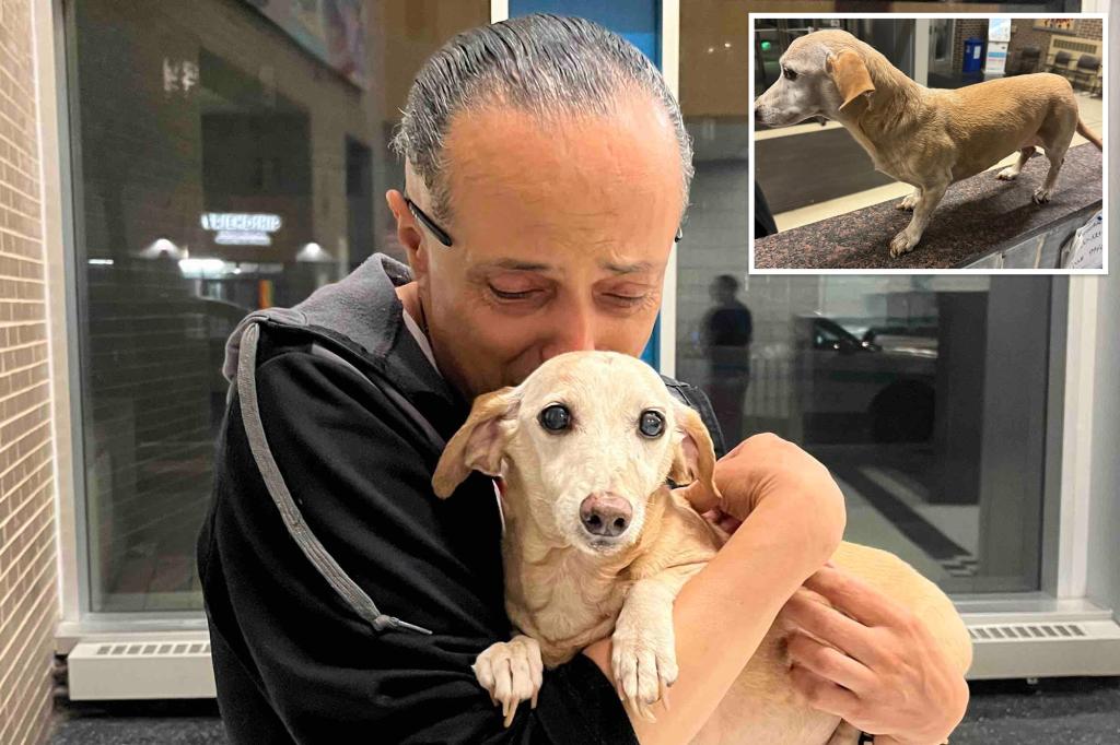 Aging service dog Bam Bam back with blind owner after two months apart due to theft