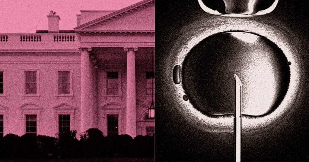 An unfamiliar method for dealing with infertility is complicating the White House's efforts on IVF.