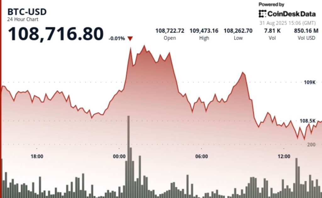 Analyst Predicts BTC Demand Will Exceed Supply by Over 6 Times in 2025 After Halving