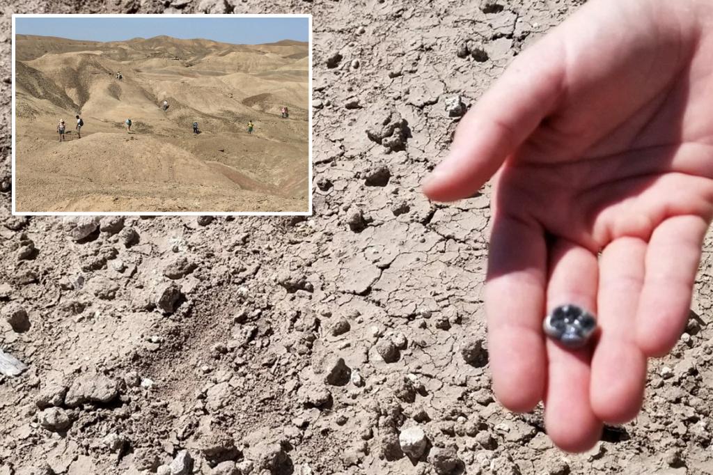 Ancient fossil teeth discovered in Ethiopia reveal a new Homo species in human evolution, dating back 2.65 million years.