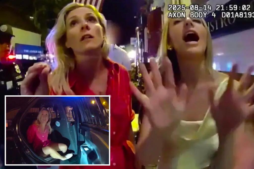 Angry friend of arrested prosecutor was attempting to 'calm things down' when chaos erupted during trespassing incident: attorney