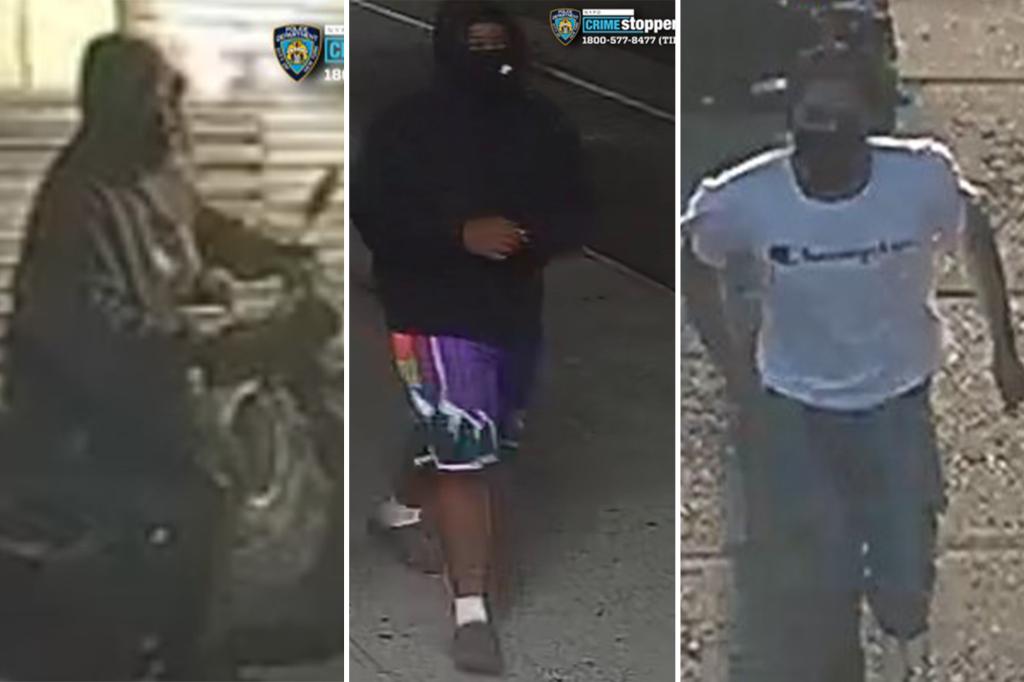 Armed group instills fear in Queens while stealing mopeds