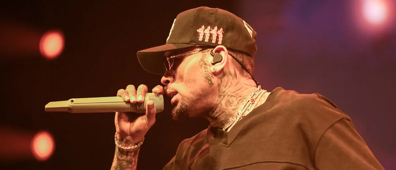 Awkward Video Captures Chris Brown Dancing With Fan During Concert