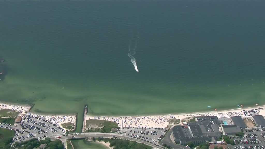Bacteria linked to flesh-eating disease discovered in swimmer from Cape Cod