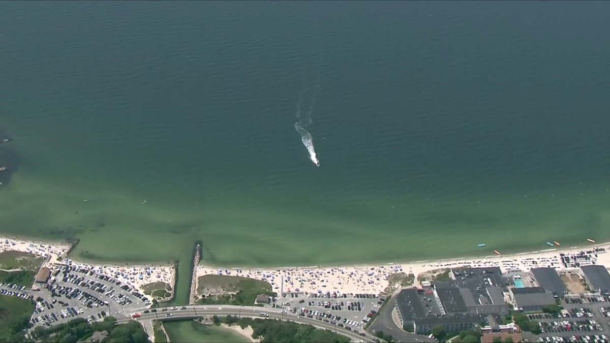 Bacteria linked to flesh-eating disease discovered in swimmer from Cape Cod