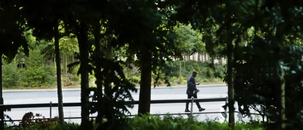 Beatniks Bow to Tree Over Climate Change 'Guilt'