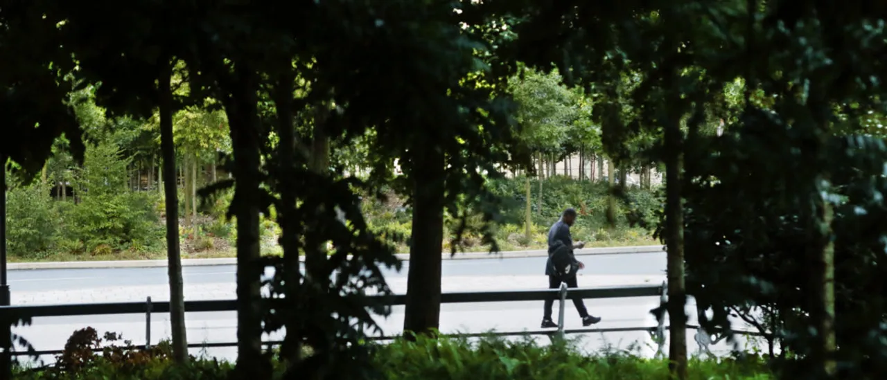 Beatniks Bow to Tree Over Climate Change 'Guilt'