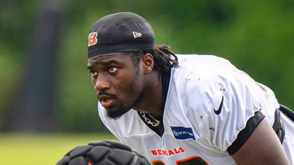 Bengals newcomer Shemar Stewart sparks altercation after taking down Joe Burrow