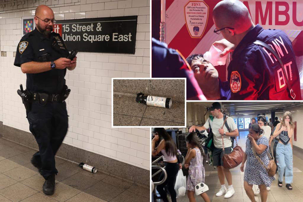 Biker in a mask uses bear spray during subway fight in NYC