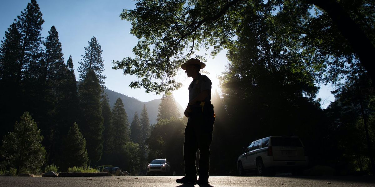Biologist dismissed from Yosemite National Park following incident involving transgender flag