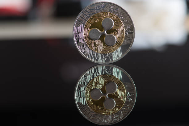 Bitcoin Enthusiast Criticizes XRP Investors With Insult During Price Decline