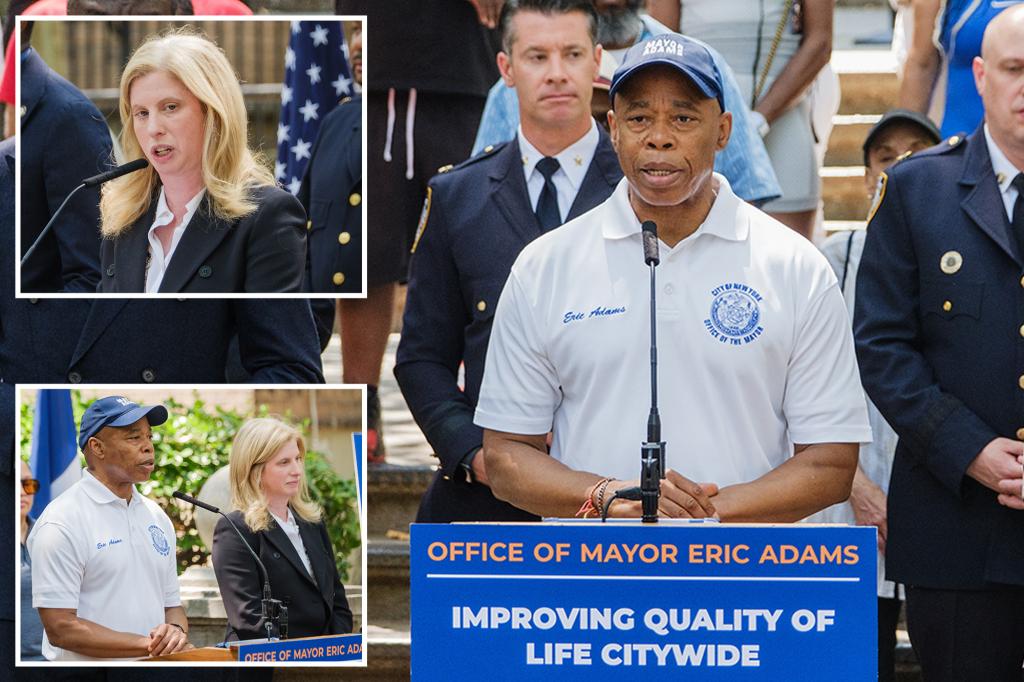 Brooklyn now has quality-of-life officers from the NYPD: 'It's effective'