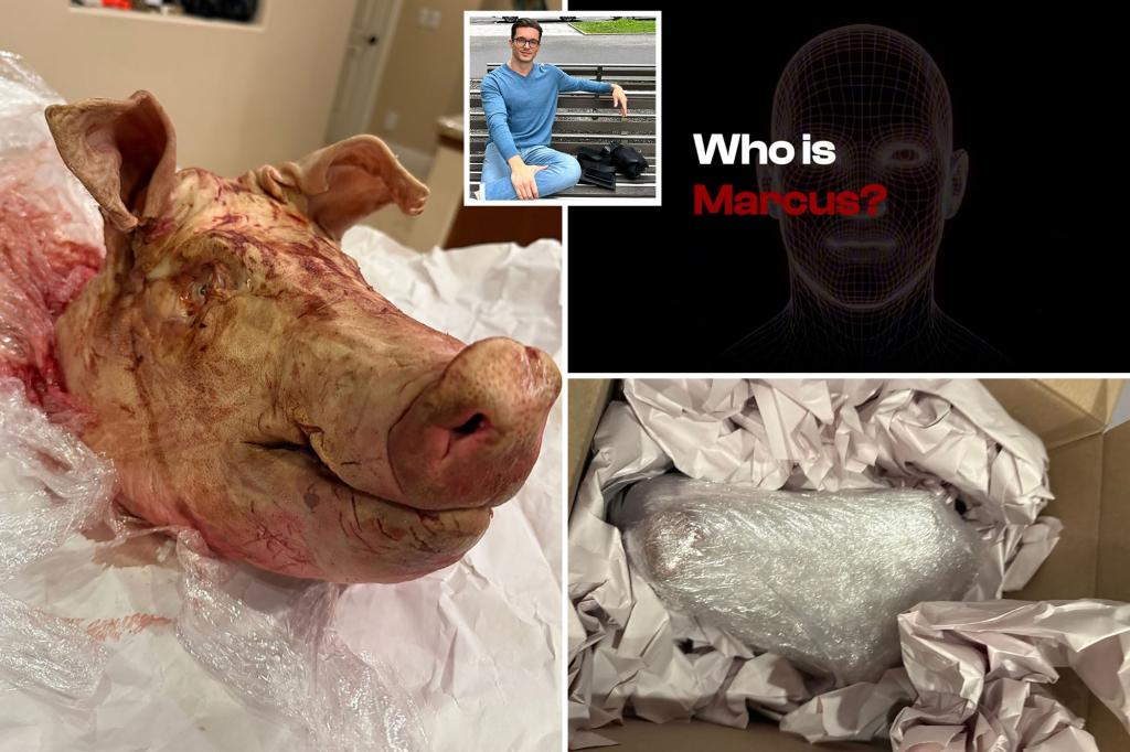 CEO Blake Owens of Agrippa AI sent a bloody pig head along with a threatening message.