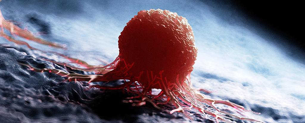 Cancer Vaccine from Universal Eliminates Resistant Tumors in Mice