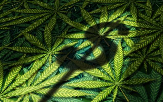 Cannabis ETFs Rise as Trump Considers Changing Marijuana Classification