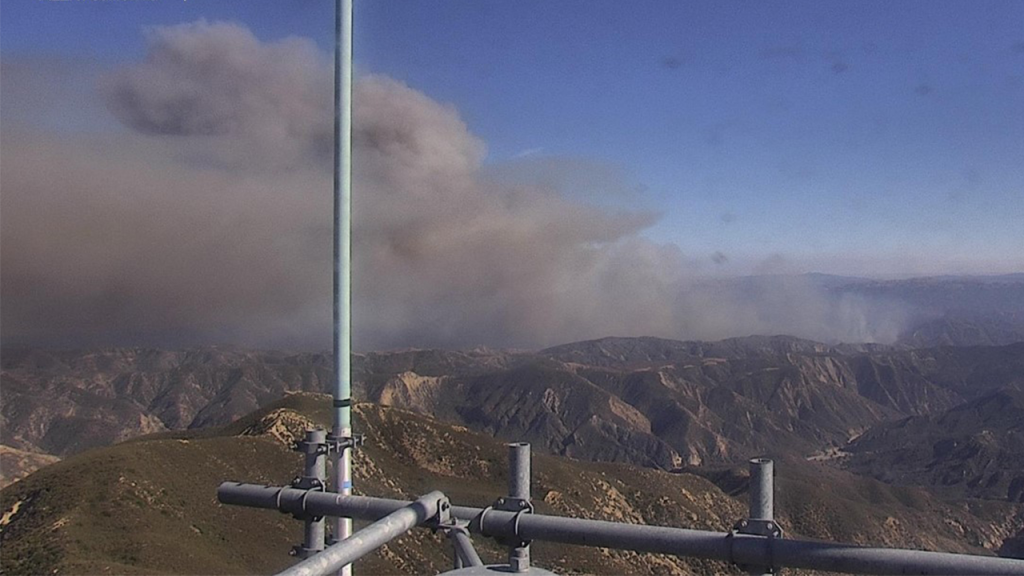 Canyon Fire in Southern California grows from 50 to over 1,000 acres on Thursday