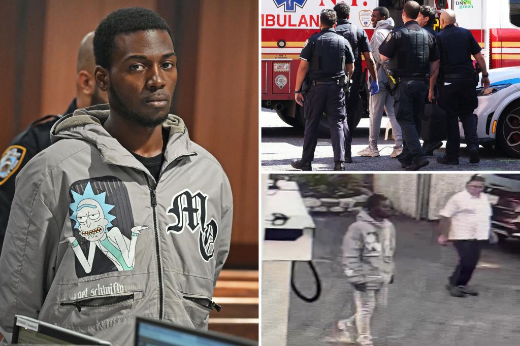 Carjacker in NYC severely hurt an 87-year-old woman during a chaotic morning crime event, according to prosecutors.