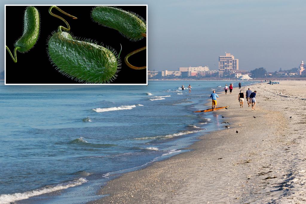 Cases of 'flesh-eating bacteria' increase along the Gulf Coast, with a death rate of 1 in 5.