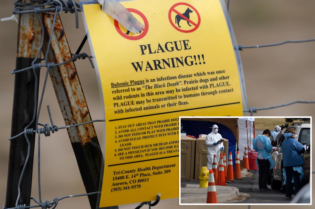 Cat in Colorado found with the plague shortly after a resident in Arizona dies from the disease.