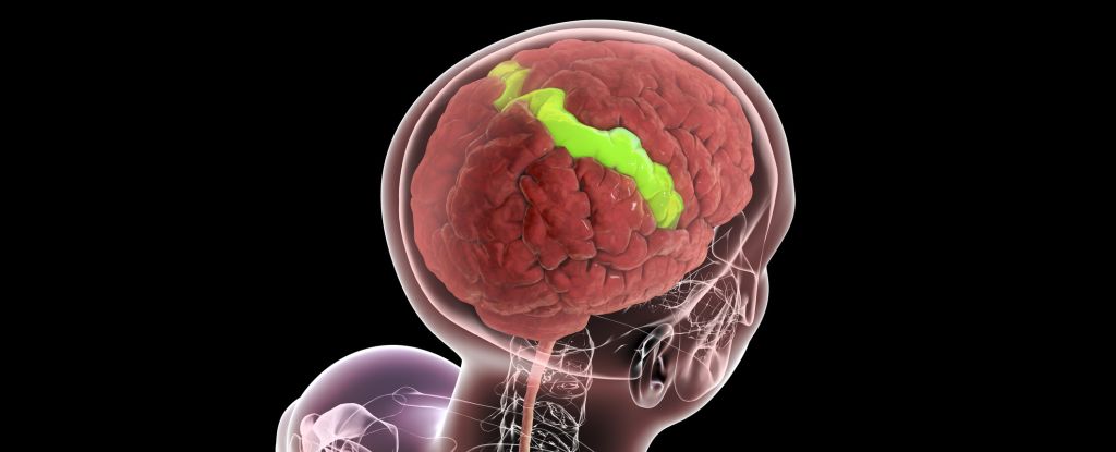 Certain Areas of Your Brain Really Strengthen as You Grow Older