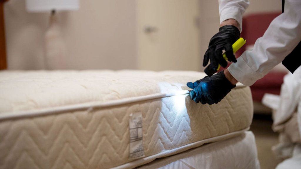 Chicago ranks as the city with the highest bedbug infestations for the fifth consecutive year.