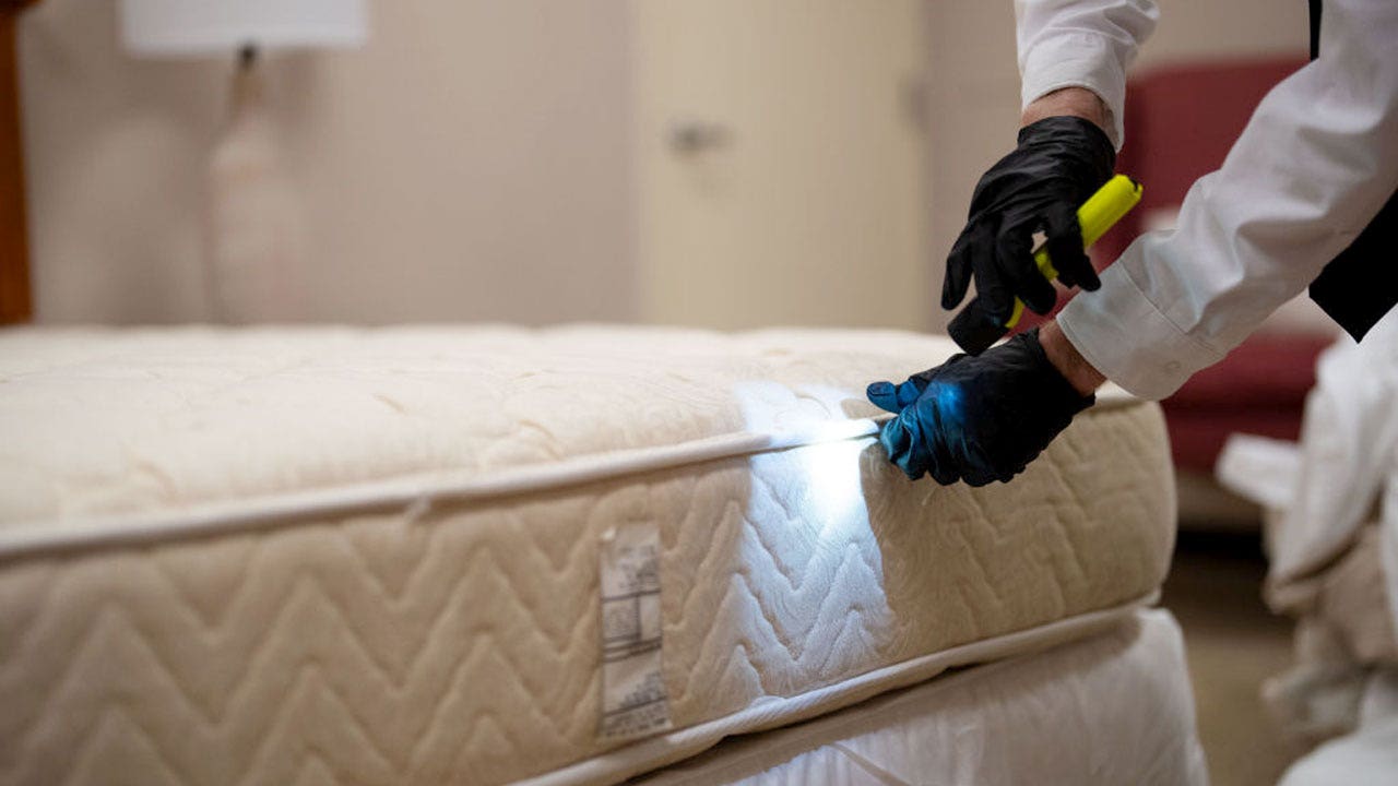 Chicago ranks as the city with the highest bedbug infestations for the fifth consecutive year.