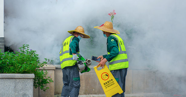 Chikungunya Virus Carried by Mosquitoes in China Raises Concerns of an Outbreak in the U.S.