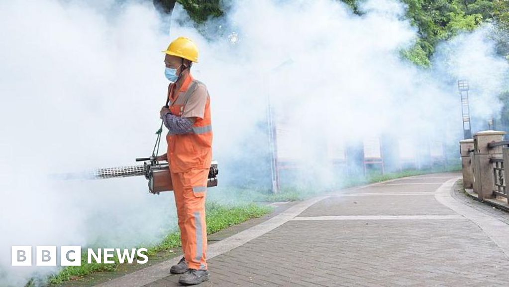 Chikungunya virus: 7,000 cases reported in China