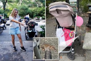 Children's playground in Central Park infested with bold rats - Total News
