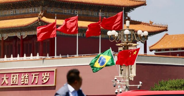 China Responds Positively to Brazil's Request for Assistance Against Trump