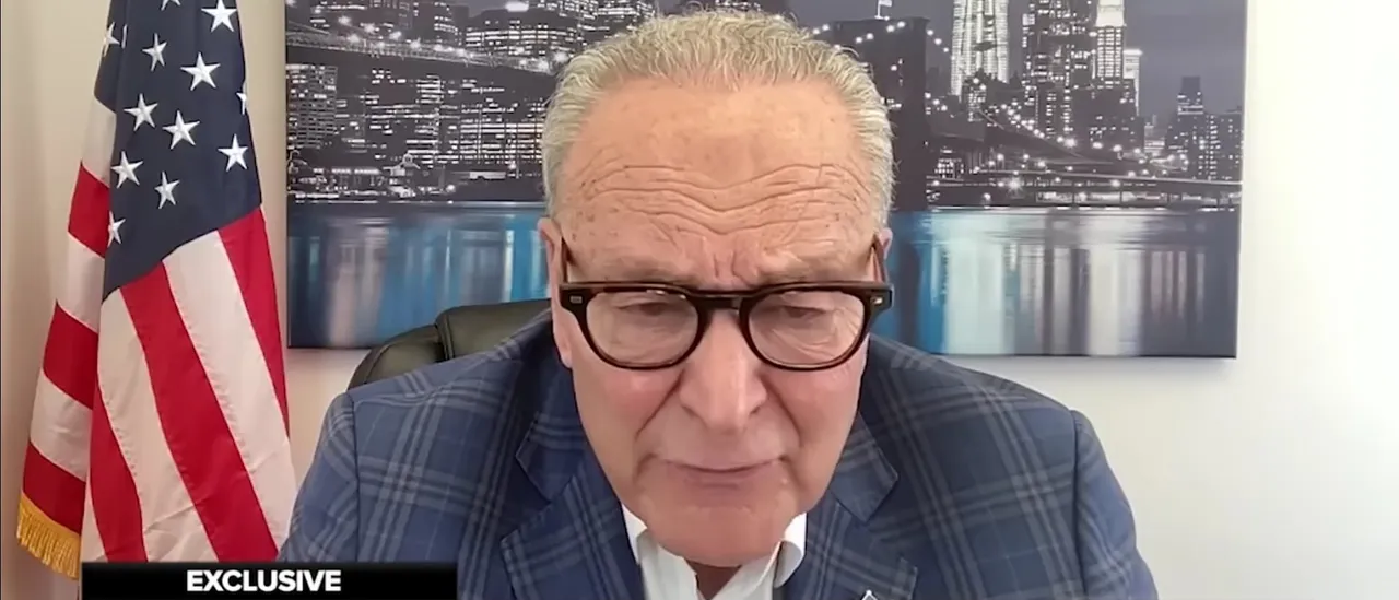 Chuck Schumer Expresses He Feels Completely Secure While Walking in DC